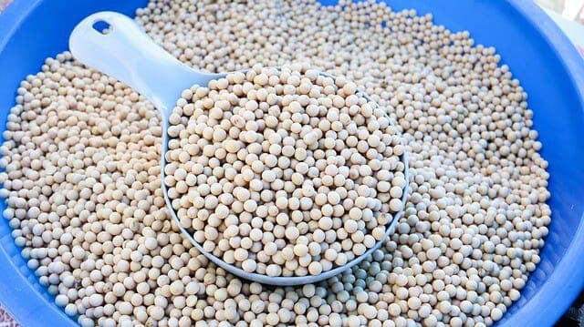 大豆のお椀