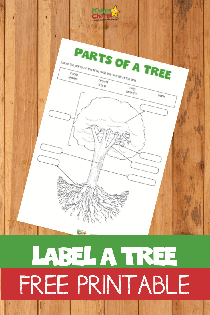 Label A Tree Free Printable Kiddycharts Printables