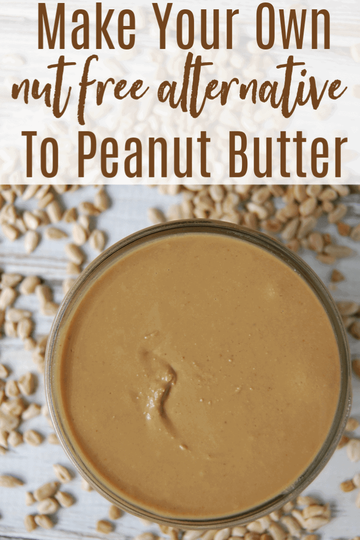 Homemade Sunbutter The Pistachio Project