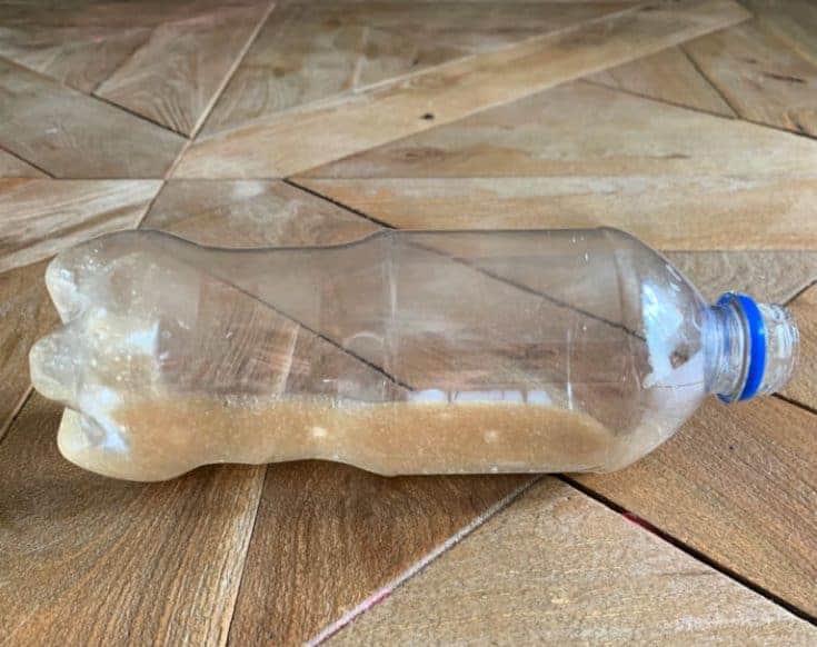 How to Kill Ants with Borax