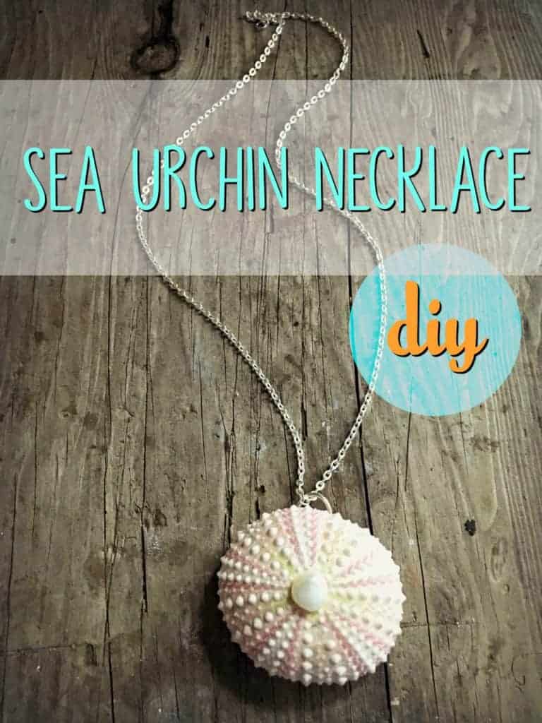 Diy Sea Urchin Necklace Crafty Little Gnome The most recent accounts from 30 april 2015 indicate this company. diy sea urchin necklace crafty little