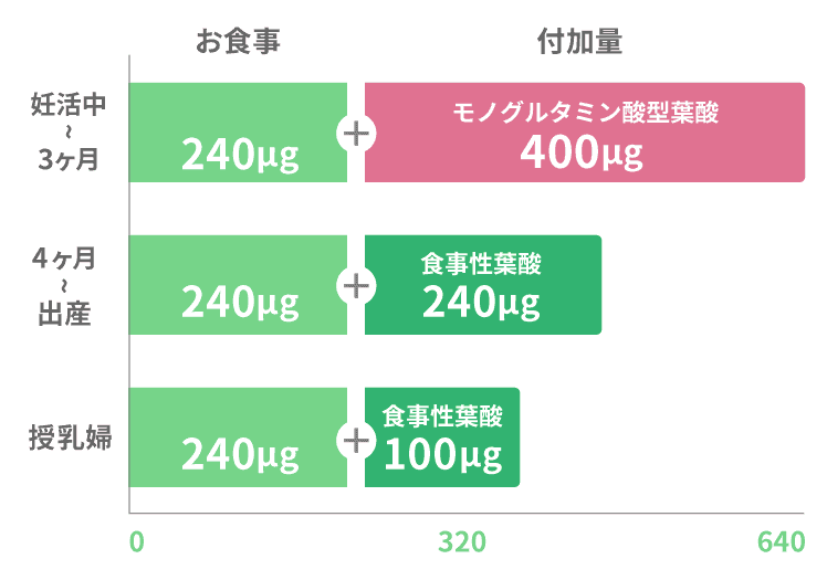 葉酸,必要量