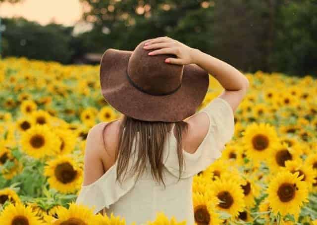 une femme marche dans un champ de tournesols