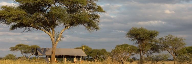 Naabi Private Camp Tent