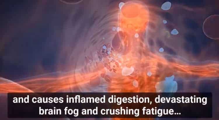 Scientific Evidence for Ancient Japanese Tonic