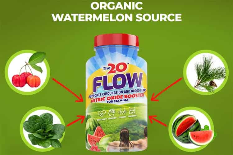 The 20 Flow Review
