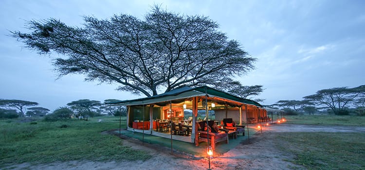 Nasikia Mobile Migration Camp Dining Tent