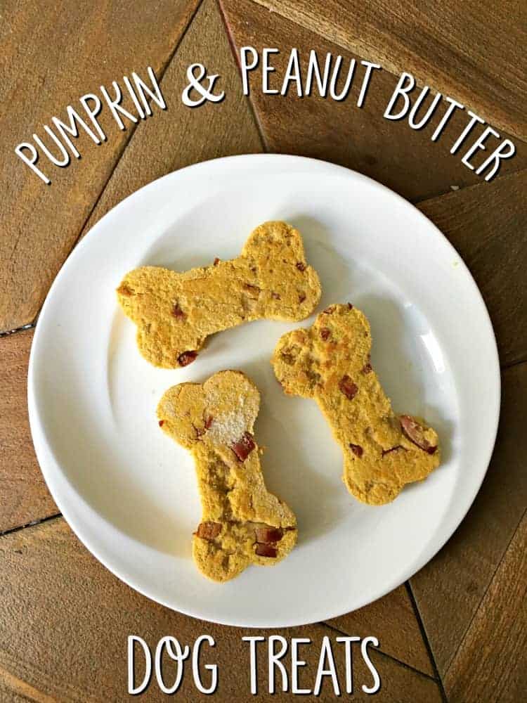 Pumpkin Peanut Butter Dog Treats biscuits recipe homemade