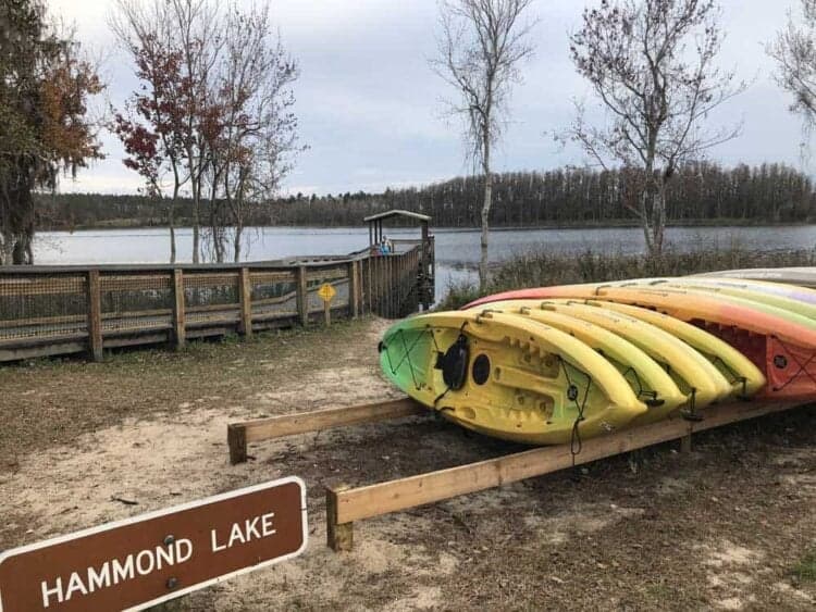 Lake Louisa State Park: Cabins, camping, hiking near Orlando