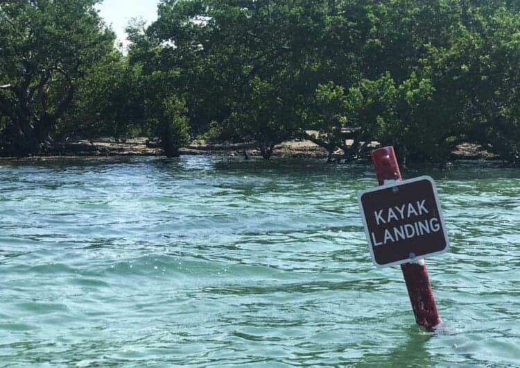 Best Kayaking In Florida Our 15 Favorite Kayak Spots