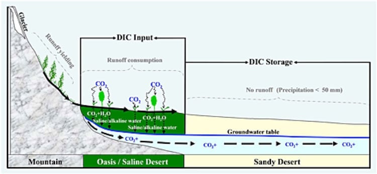 Schematic diagram of DIC (dissolved inorganic carbon) leaching and transport in a closed arid basin: Tarim Basin as an example. From Li et al, 2015.