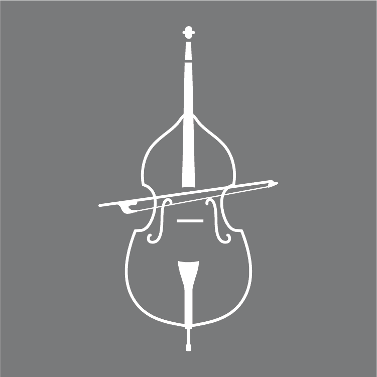 Beginners Guide To Learning The Double Bass Beginner's Guide To Learning The Double Bass