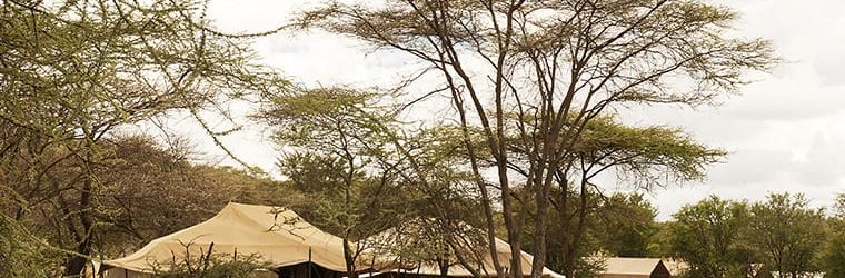 Mara Kati Kati Tented Camp View