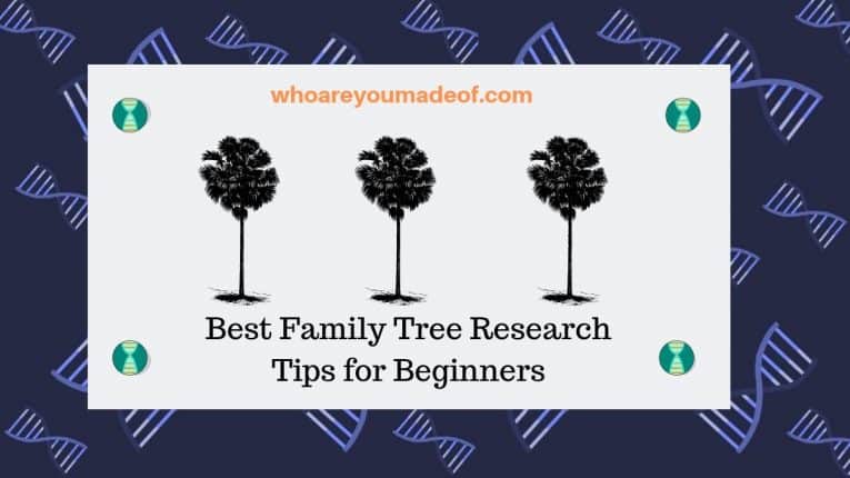 Best Family Tree Research Tips for Beginners