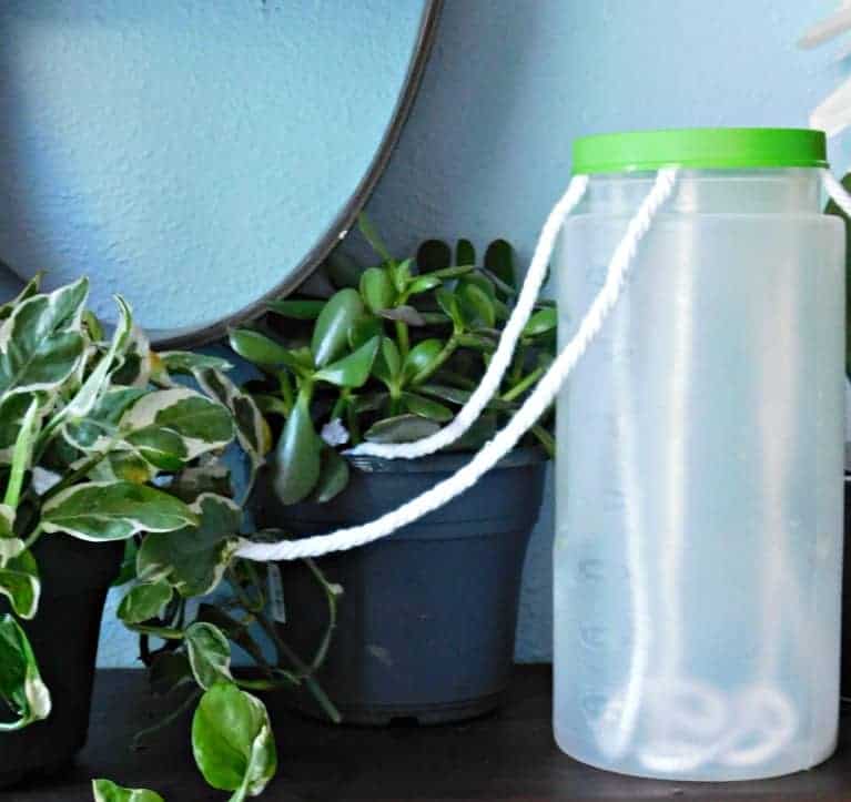 Keep Plants Watered While Away Easy Ways To Self Water House Plants