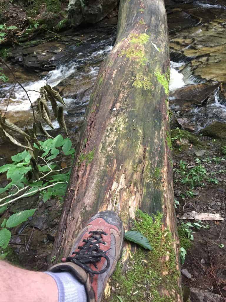 double run nature trail at worlds end state park 3