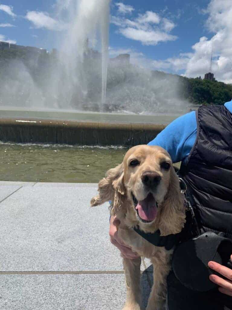 franklin smiling at point state park