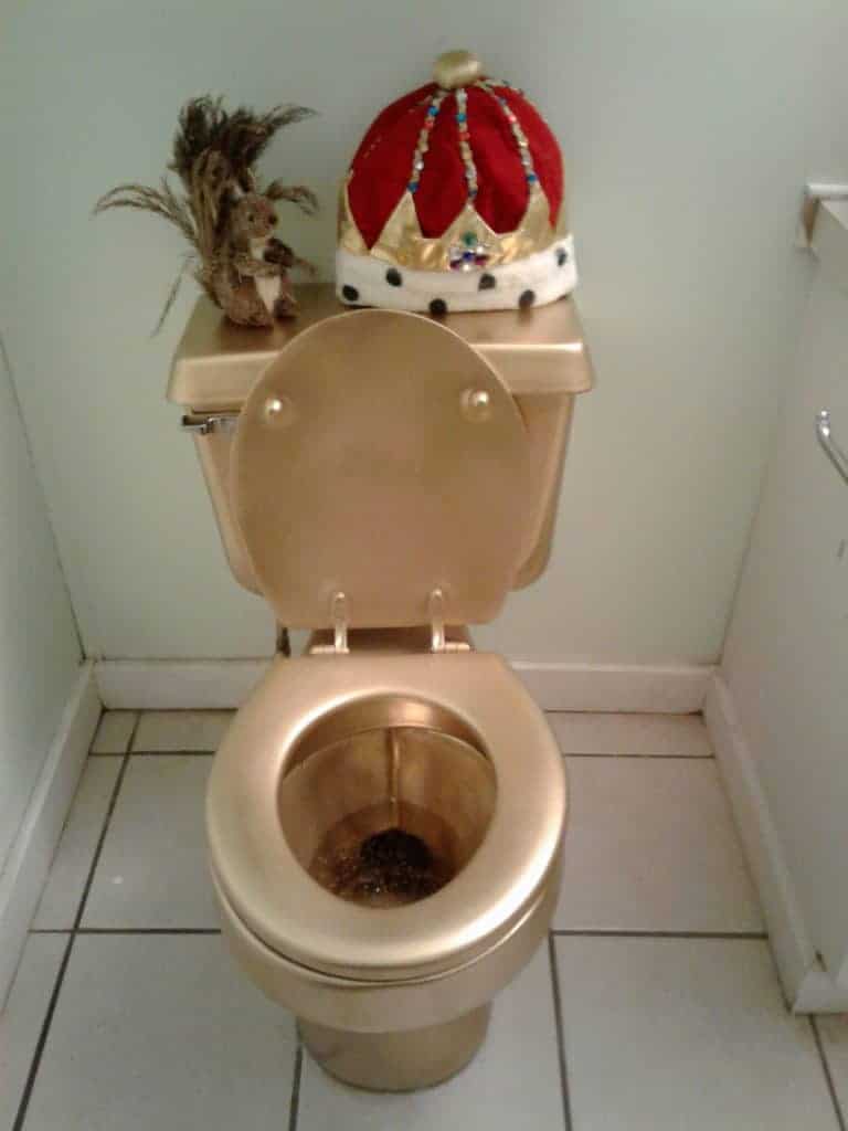 Painted Toilet How To Paint Your Toilet With Spray Paint