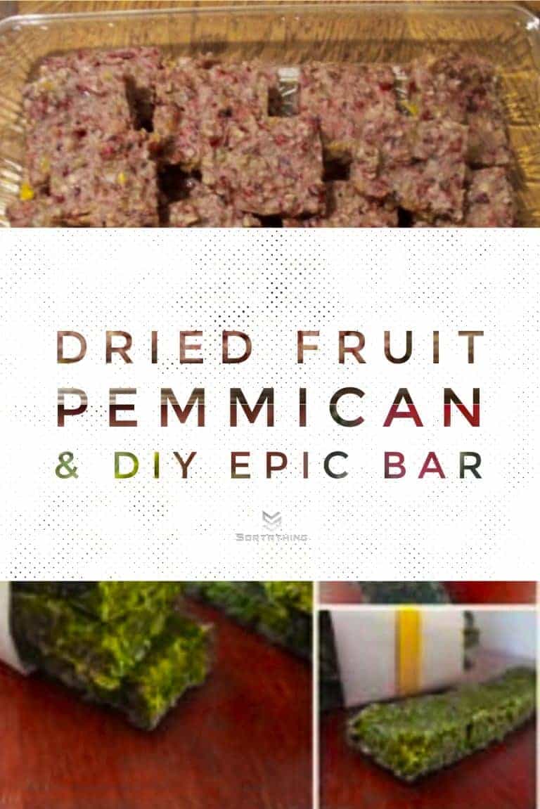 Dried fruit pemmican and DIY AIP Epic Bar Dried fruit pemmican and DIY AIP Epic Bar