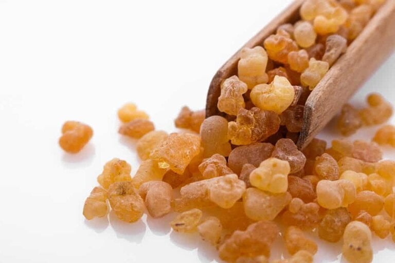 Boswellia on a white acrylic background
