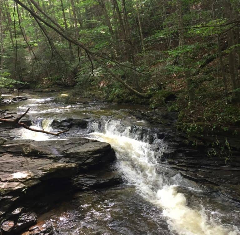 double run nature falls at world end state park 1