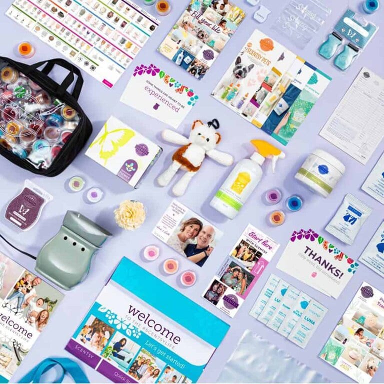 UK & Europe 2020 Standard Scentsy Starter Kit Image