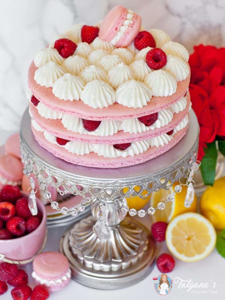 The European Cake Cookbook Tatyanas Everyday Food