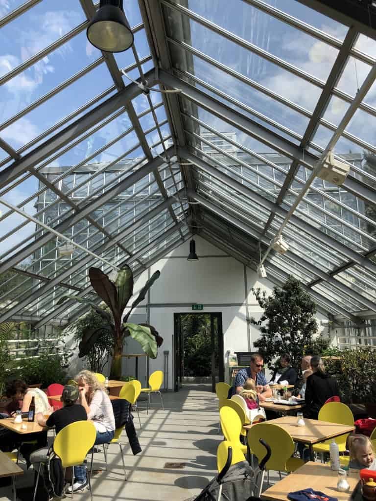 Botanischer Garten Berlin Pankow Martyna schmeckt Berlin