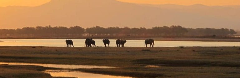 Mana Pools National Park