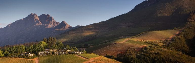 Cape Winelands South Africa