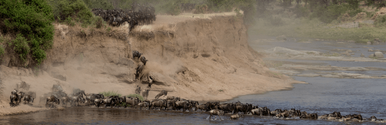 Great Migration Photo Safari Hilary Hann
