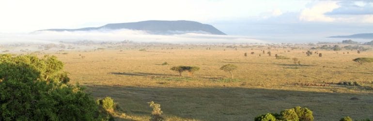 Intimate Camps View