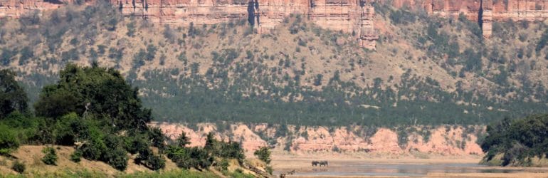 gonarezhou wildebeest crossing the runde