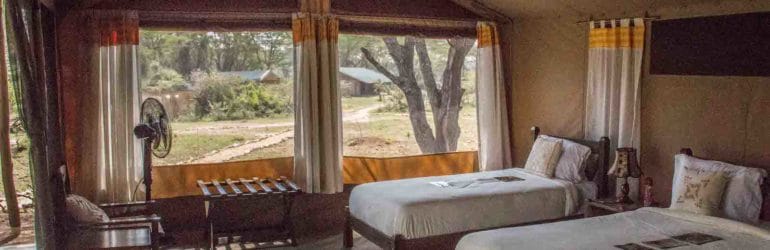 Porini Cheetah Camp Guest Tent