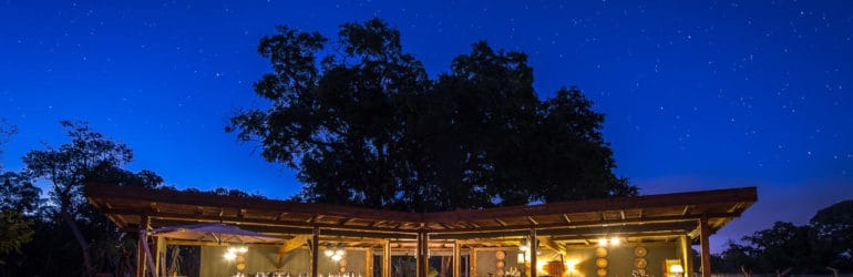 Davison's Camp View