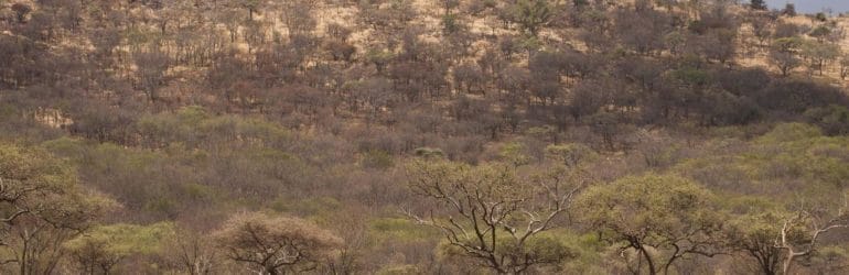 Kati Kati Tented Camp View