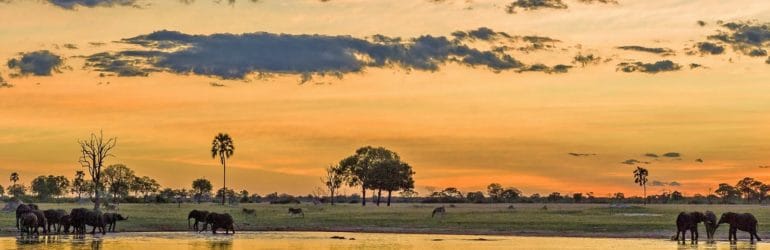 Chobe National Park
