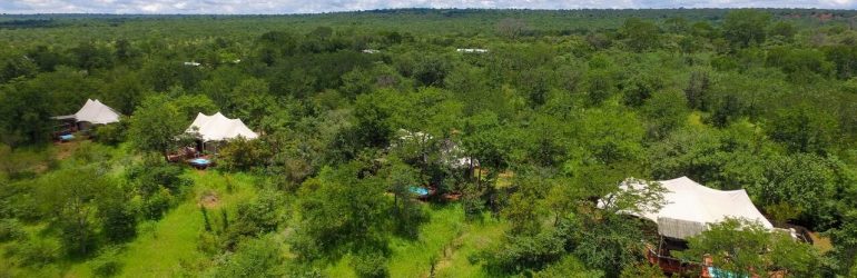 The Elephant Camp Overview 1