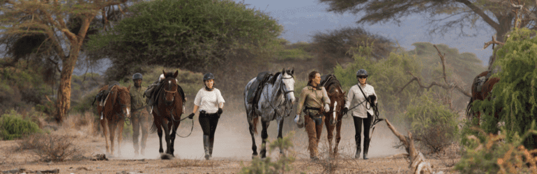 Horseback Safari
