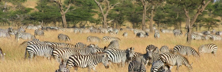 Naboisho Camp