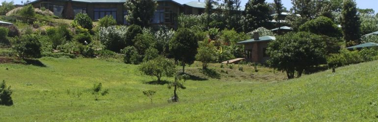 Endoro Lodge View