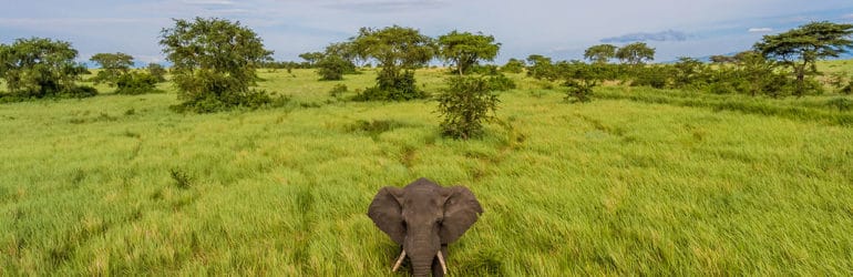 Mweya Safari Lodge 2