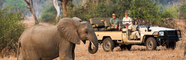 Game Drive
