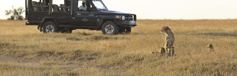 Game Drive
