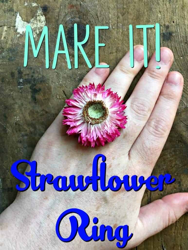 strawflower ring 4