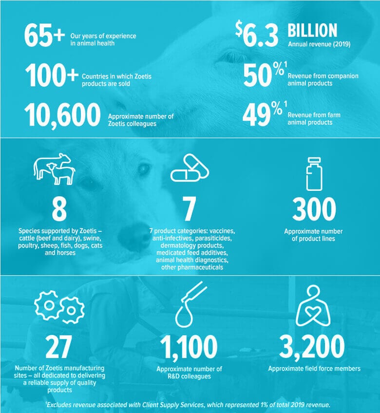 Zoetis at a glance