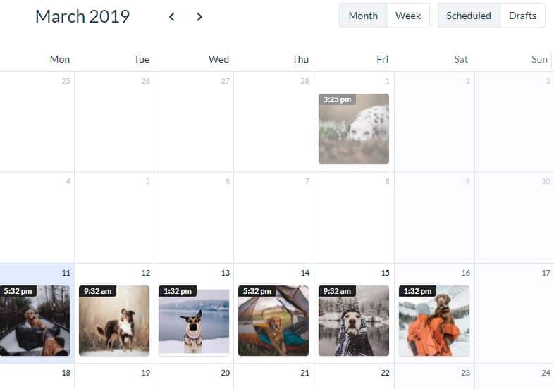 A screenshot of a calendar to schedule your instagram posts