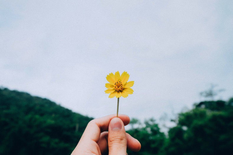 A hand holding a single yellow flower against a grey sky.