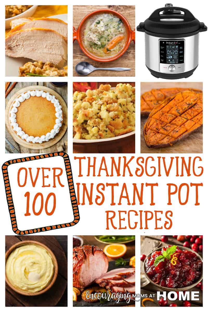 100 Best Instant Pot Thanksgiving Recipes To Save Space In The Oven