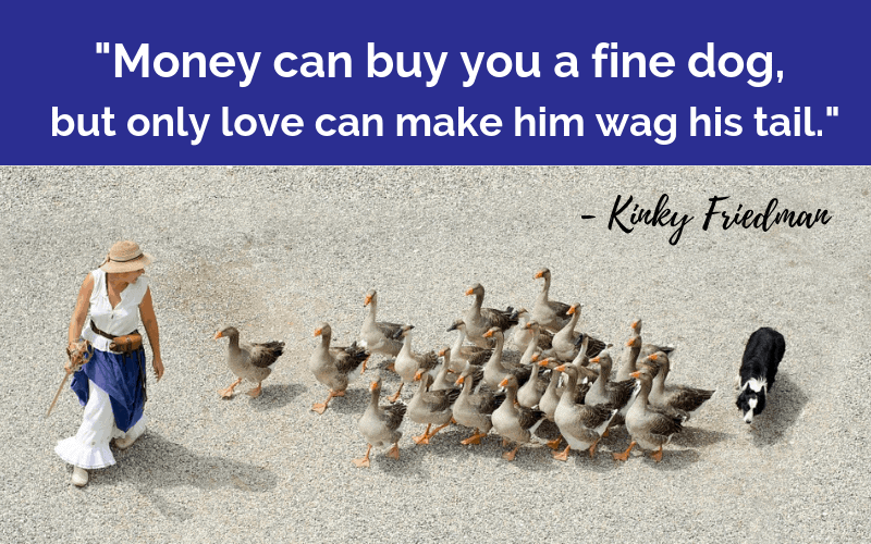 "Money can buy you a fine dog, but only love can make him wag his tail."- 30 Inspiring Dog Quotes That Will Surely Melt Your Heart